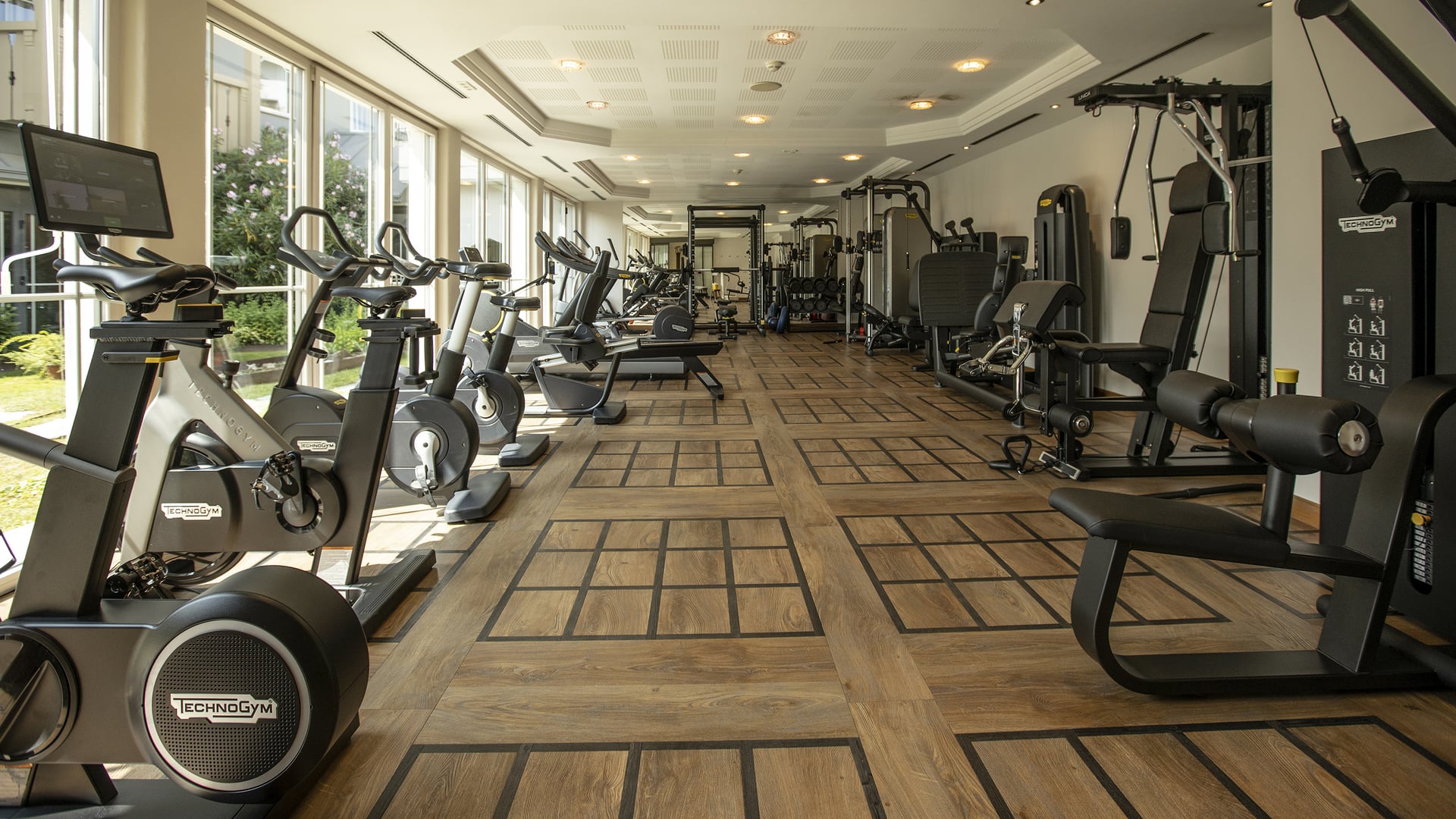 Terapia dello sport e del movimento