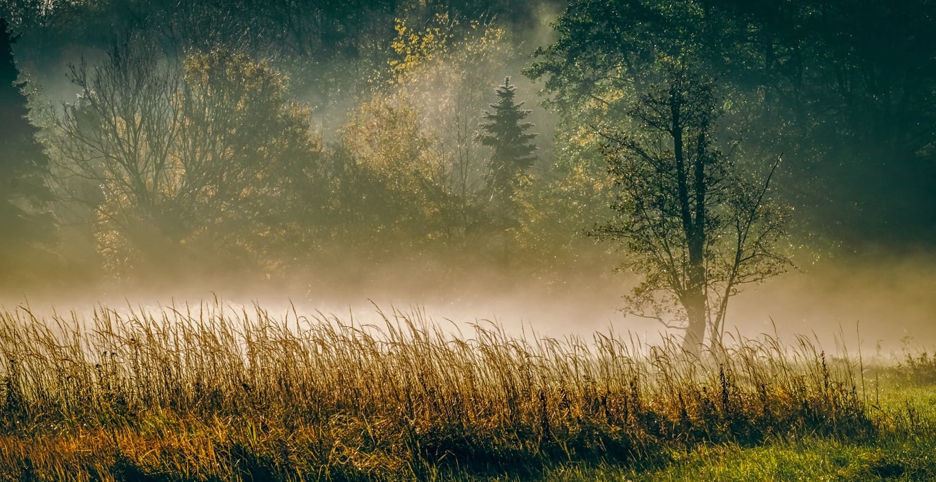 Refreshing morning walk