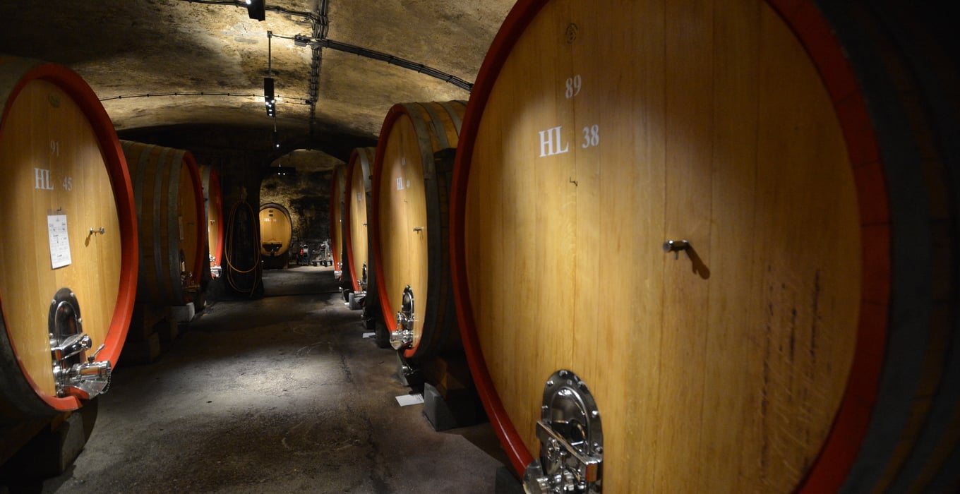 Notte delle Cantine in Alto Adige