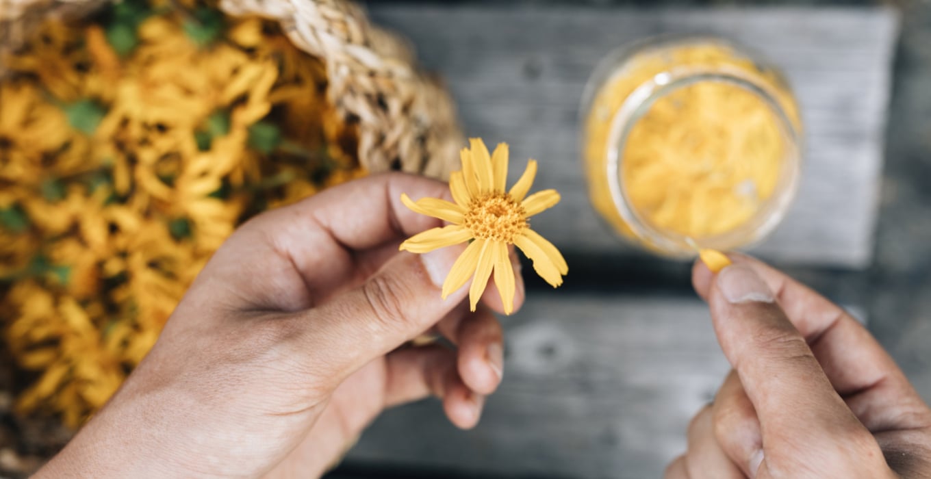 NEW at the Spa: Alpienne Natural Cosmetics