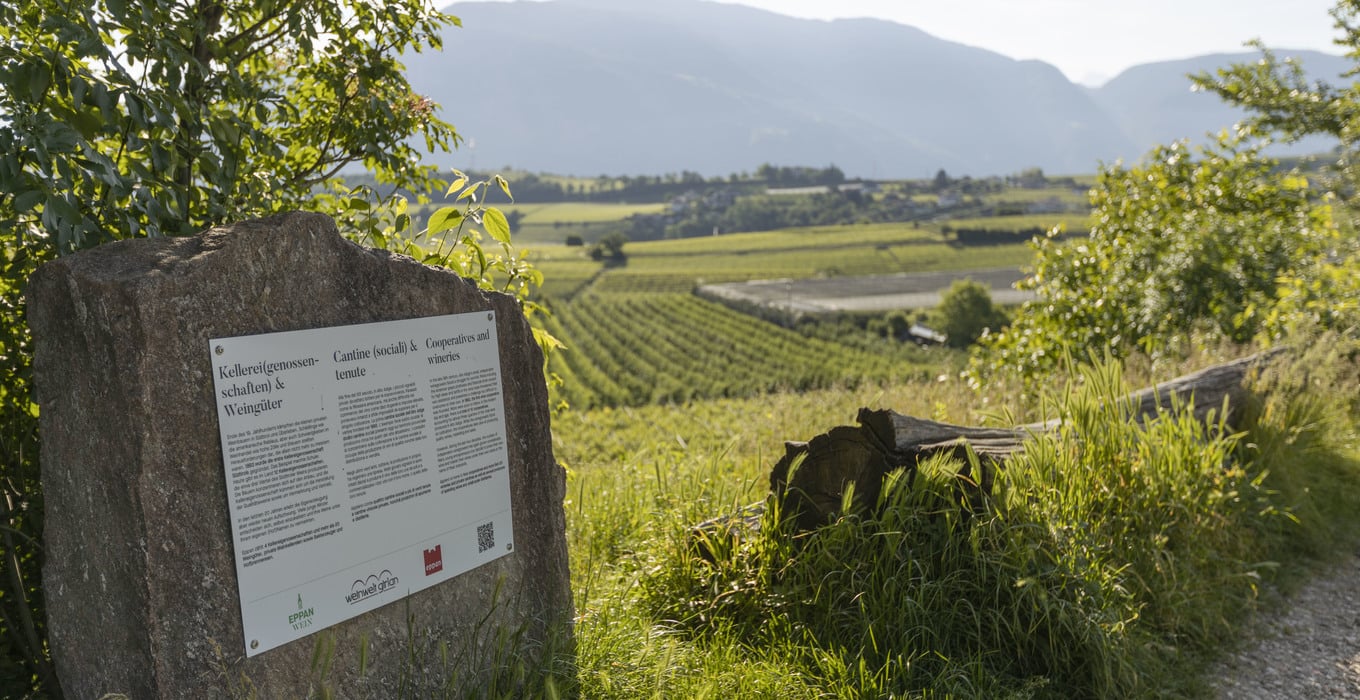 Sentiero didattico del vino di Cornaiano