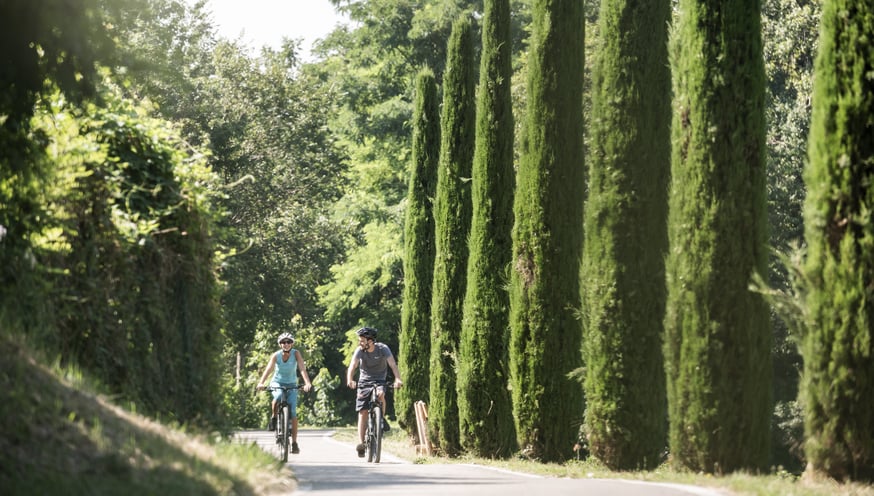 Enjoy the landscape whilst cycling