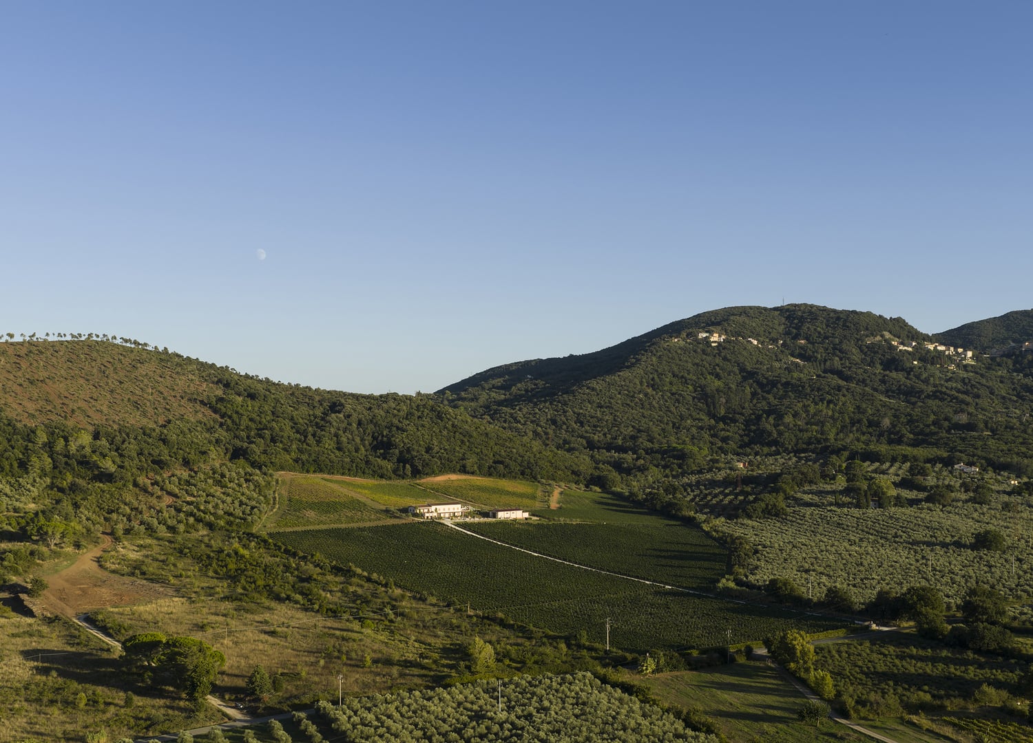 Unser Weingut Poggio al Rigoloccio in der Maremma, Toskana