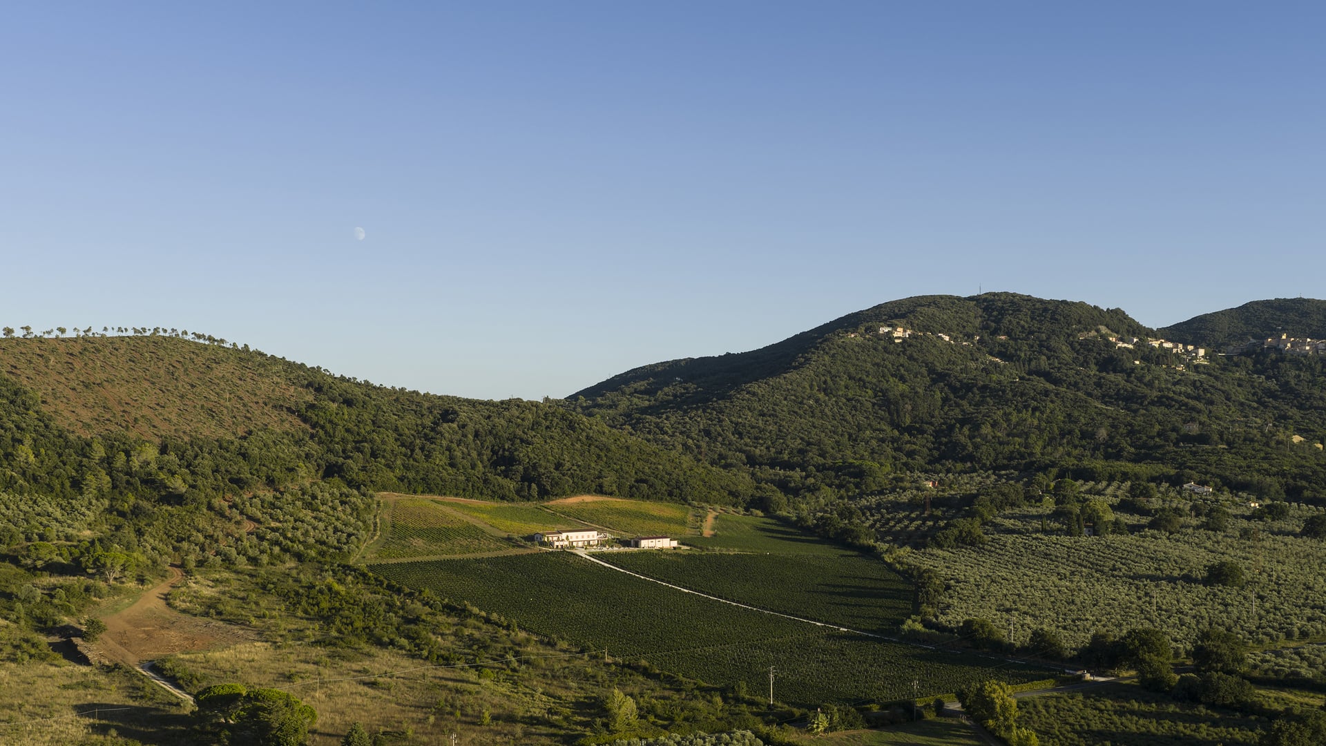 La nostra tenuta Poggio al Rigoloccio nella Maremma toscana