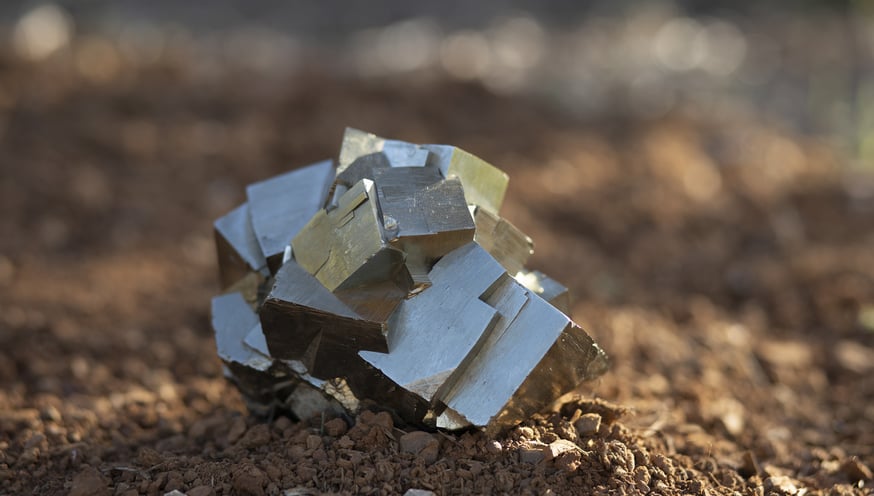 La nostra tenuta Poggio al Rigoloccio nella Maremma toscana