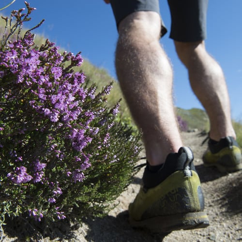 Gli zaini e i bastoni da trekking possono essere noleggiati presso l’albergo