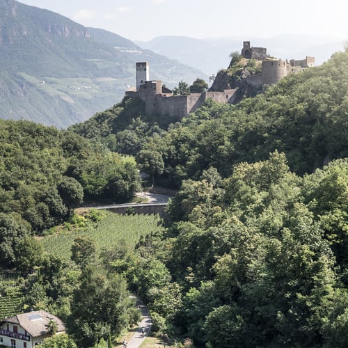 Regular guided mountain bike tours