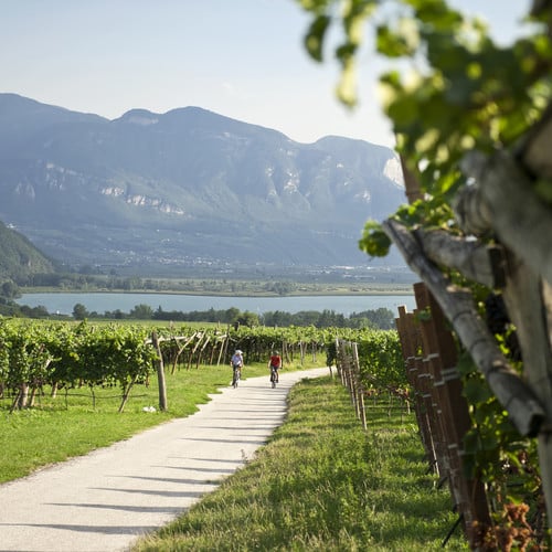 Regelmäßig geführte Mountainbike-Touren