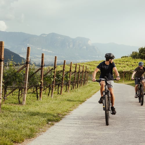 In bici lungo la Valle dell’Adige e l’Oltradige