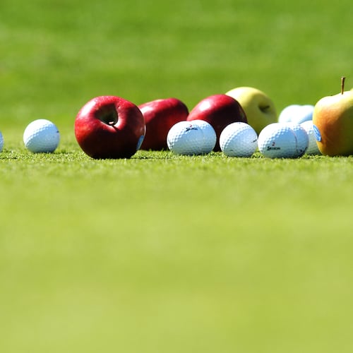 10 % Ermäßigung auf alle Golfkurse