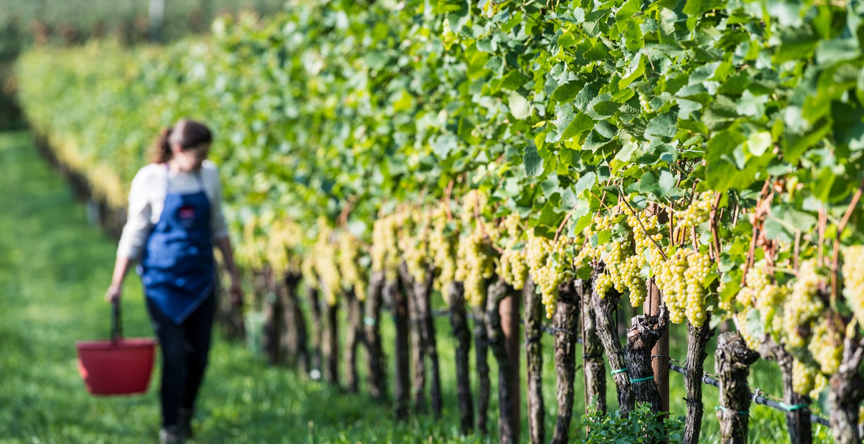 Journey of enjoyment & experiences