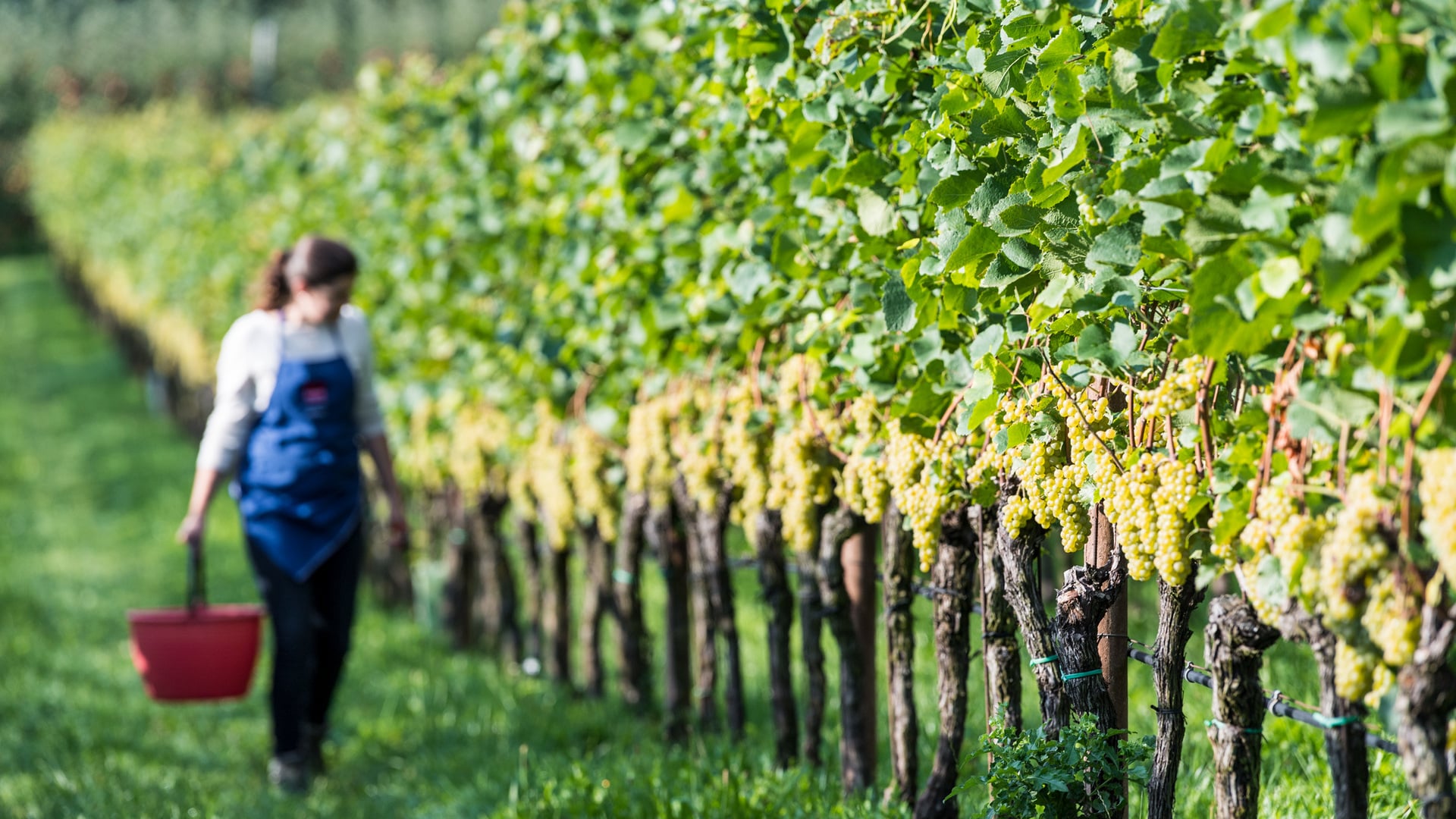 Journey of enjoyment & experiences