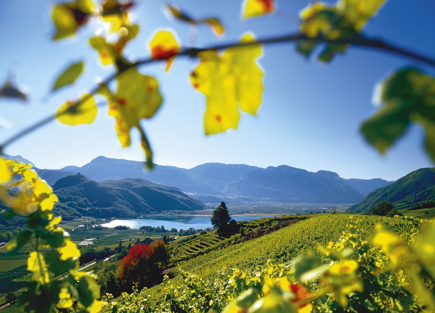 Vielfalt in Natur & Kultur