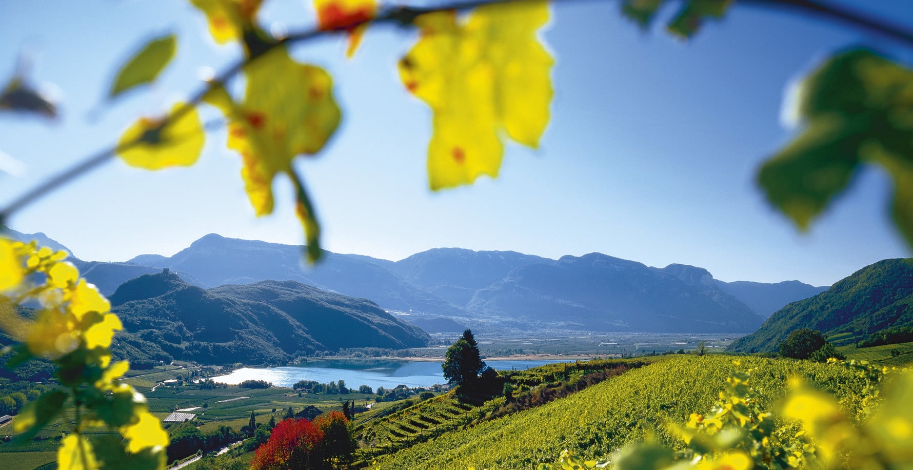 Vielfalt in Natur & Kultur